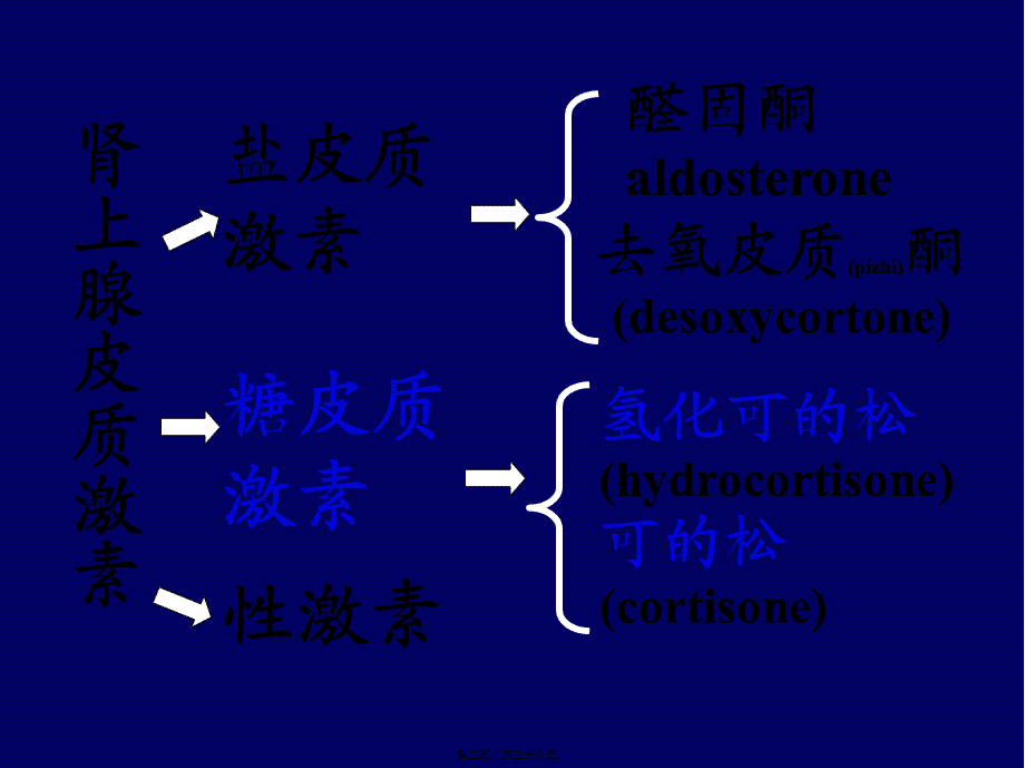 2022年医学专题—6.7拟抗副交感神经药2-(2).ppt_第2页