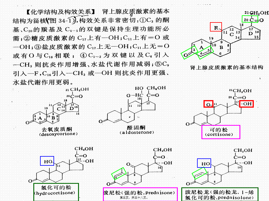 2022年医学专题—6.7拟抗副交感神经药2-(2).ppt_第3页