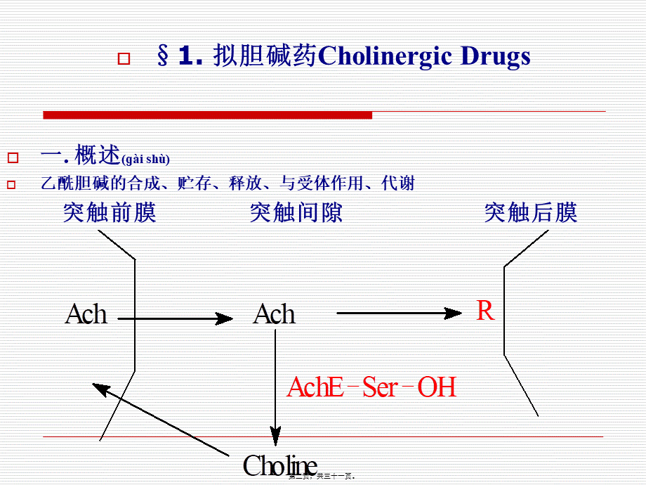 2022年医学专题—第七篇-拟胆碱药和(1).ppt_第2页