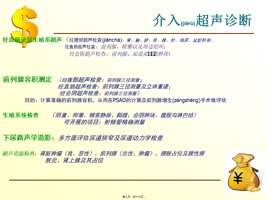 2022年医学专题—泌尿系超声介入介绍-dc(1).ppt_第2页