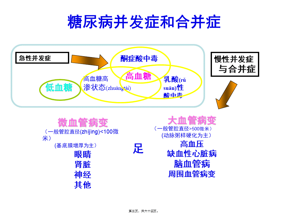 2022年医学专题—丁大糖尿病医院：糖尿病急性并发症概要(1).ppt_第3页