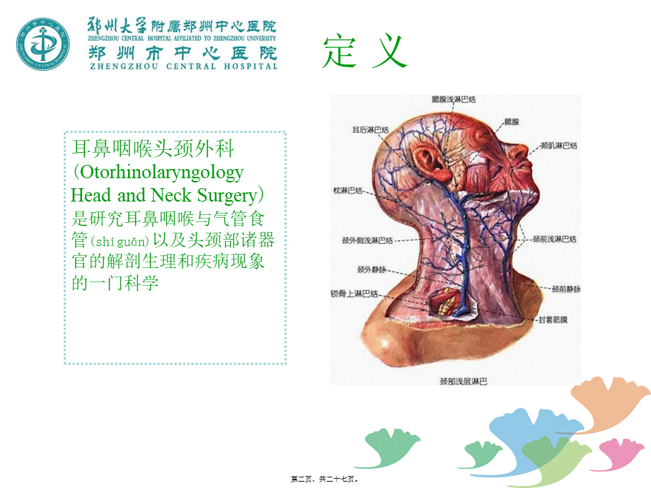 2022年医学专题—耳鼻咽喉头颈外科(1).ppt_第2页