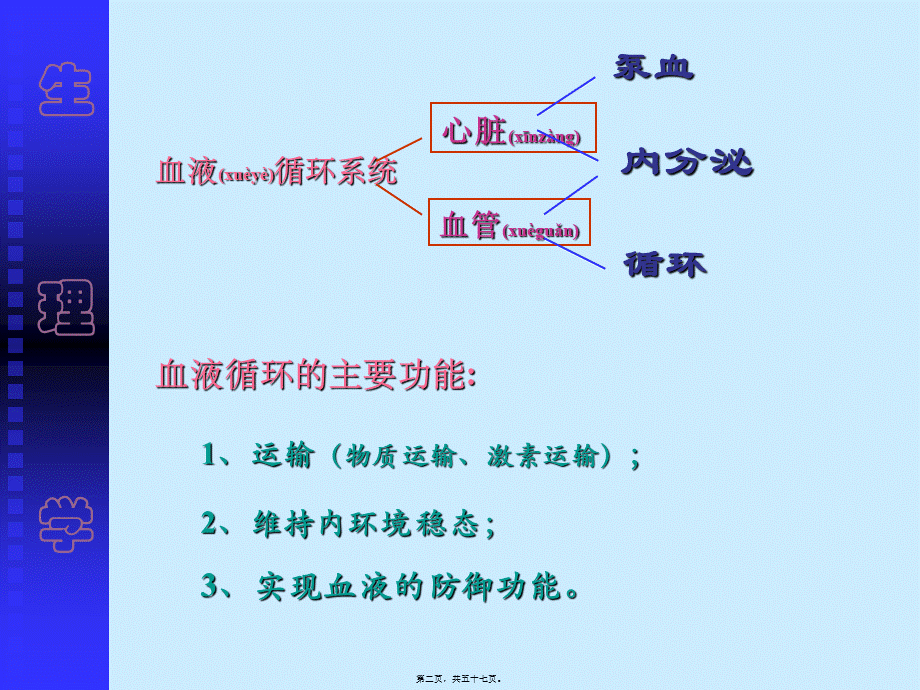 2022年医学专题—第-四-篇-血-液-循-环11(1).ppt_第2页