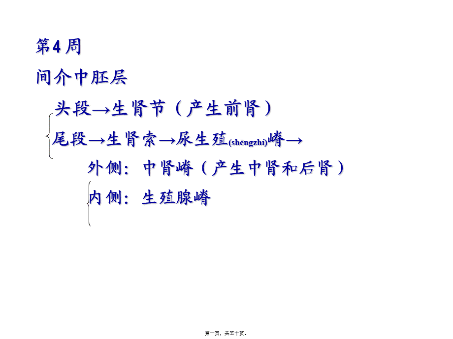 2022年医学专题—泌尿系统和生殖系统的发生(1).ppt_第1页