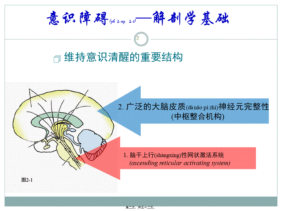 2022年医学专题—神经病学总论剖析.ppt_第2页