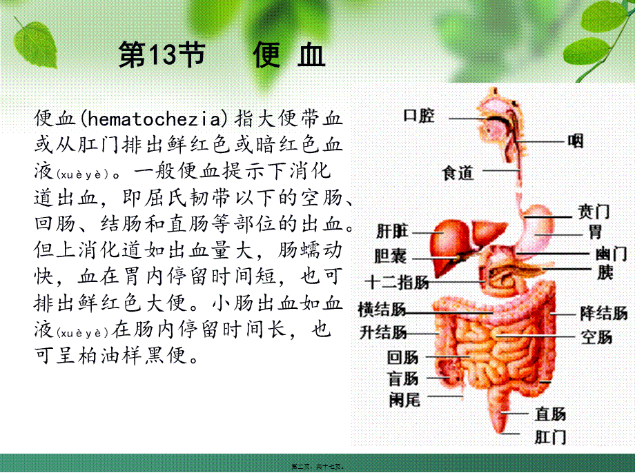 2022年医学专题—第13节便-血(1).ppt_第2页