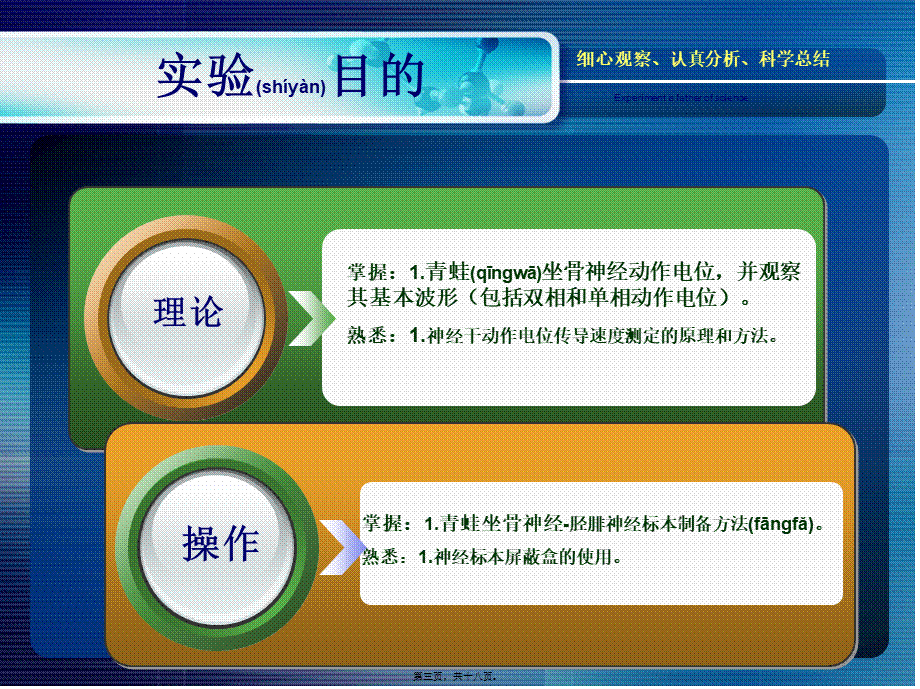 2022年医学专题—神经干动作电位的引导及其传导速度的测定(1).ppt_第3页