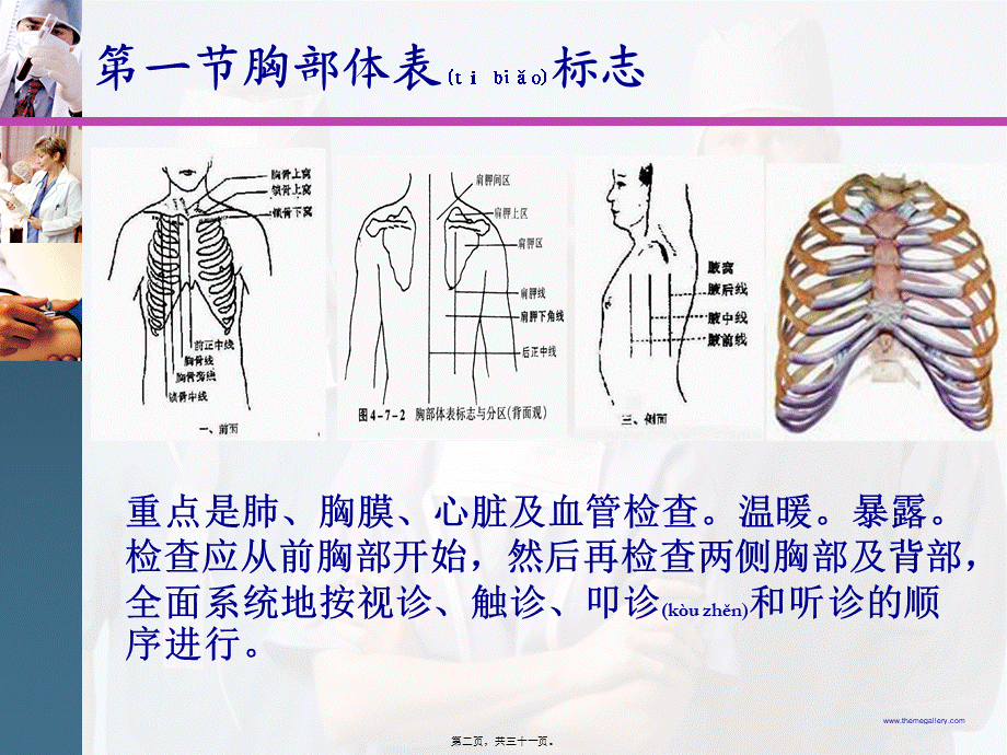 2022年医学专题—胸廓.肺部视、触诊.ppt_第2页