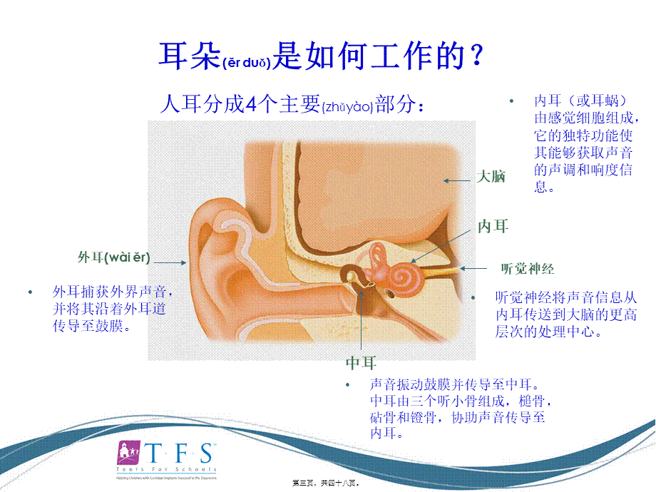 2022年医学专题—CIEP讲稿---人工耳蜗知识入门.ppt_第3页