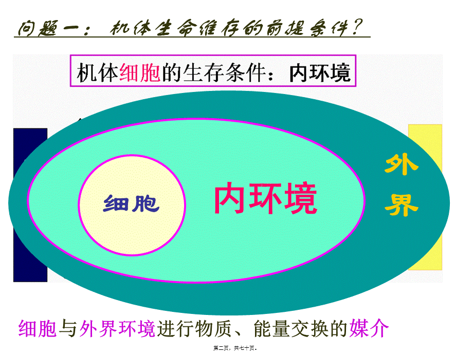 内分泌系统药理.pptx_第2页