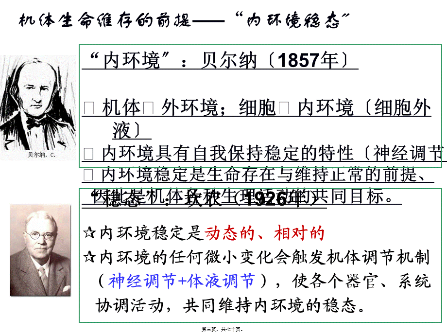 内分泌系统药理.pptx_第3页