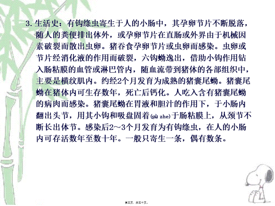 2022年医学专题—人畜共患寄生虫病的检疫(1).ppt_第3页