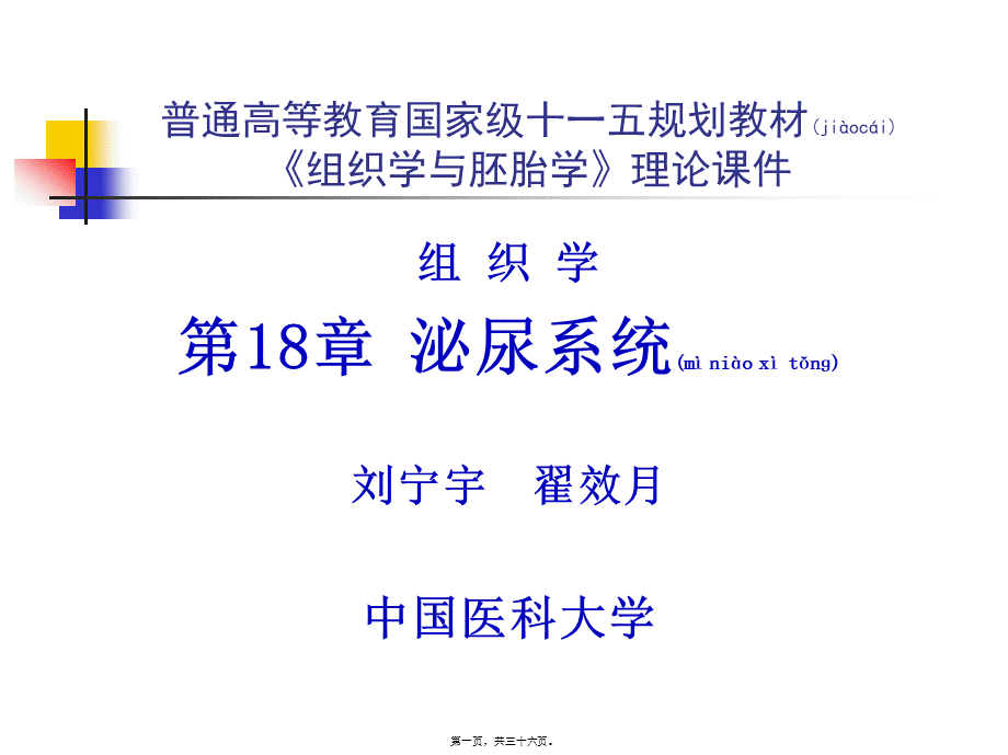 2022年医学专题—第18章泌尿系统.ppt_第1页