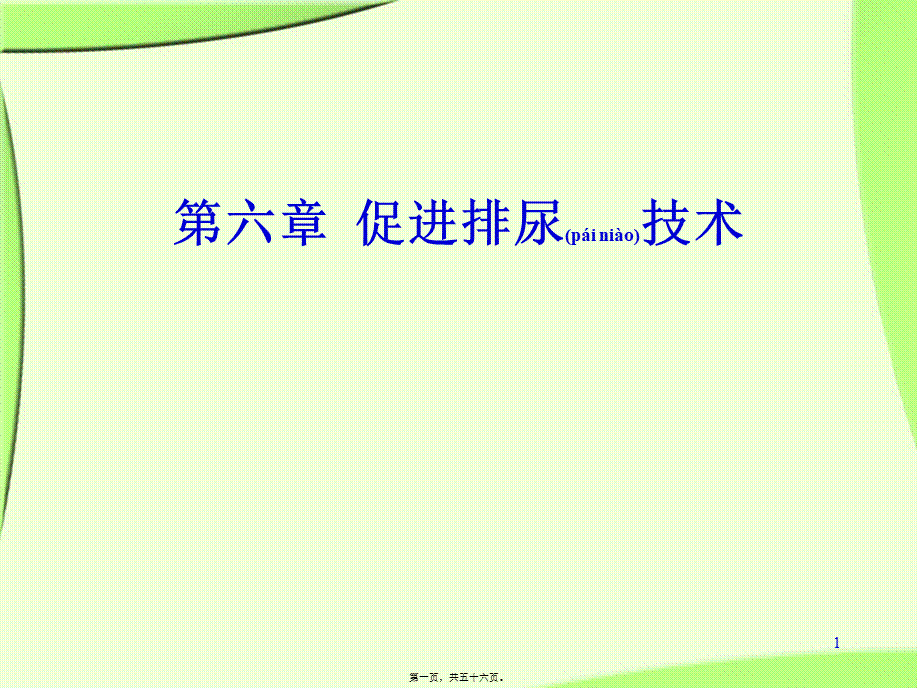 2022年医学专题—第6章(排尿)(1).ppt_第1页