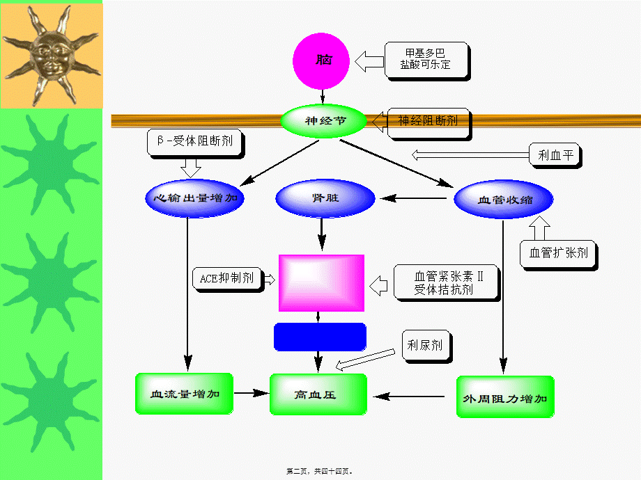 2022年医学专题—抗高血压药(尤)知识.ppt_第2页