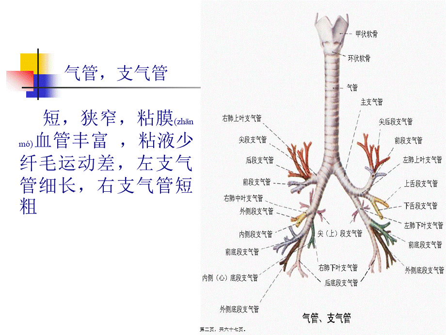 2022年医学专题—肺炎2014综述(1).ppt_第2页