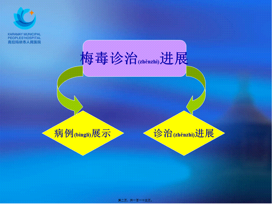 2022年医学专题—梅毒.pptx_第2页