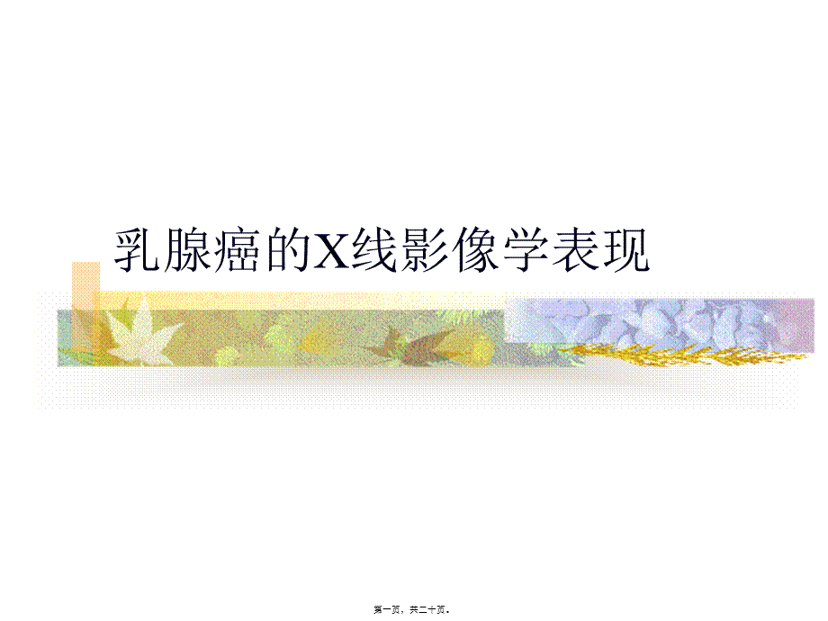 乳腺癌的X线影像学表现.pptx_第1页