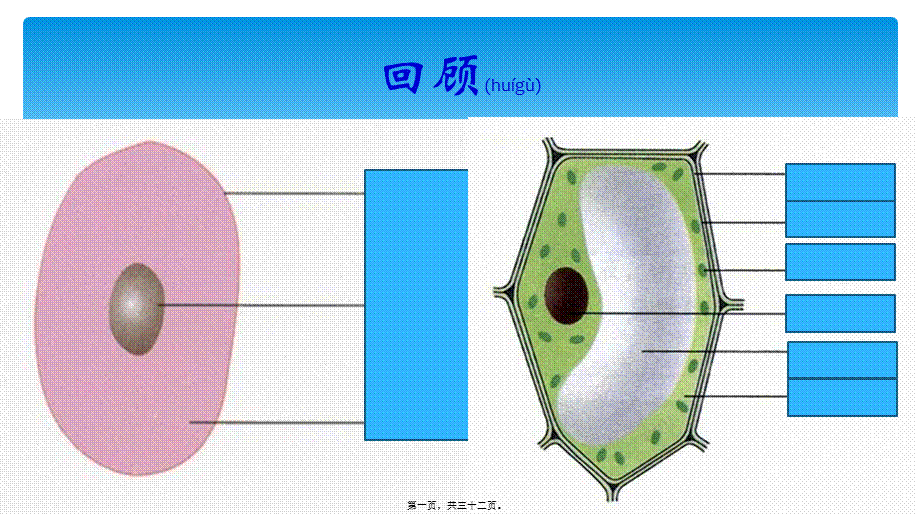 2022年医学专题—第2节细胞是生命活动的结构和功能基本单位.讲述.ppt_第1页