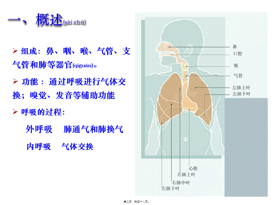 2022年医学专题—-1呼吸系统皮肤(1).pptx_第2页