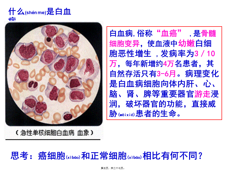 2022年医学专题—细胞分化要和.ppt_第3页