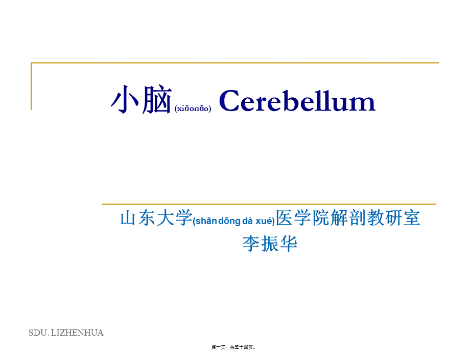 2022年医学专题—-小脑-cerebellum汇总(1).ppt_第1页