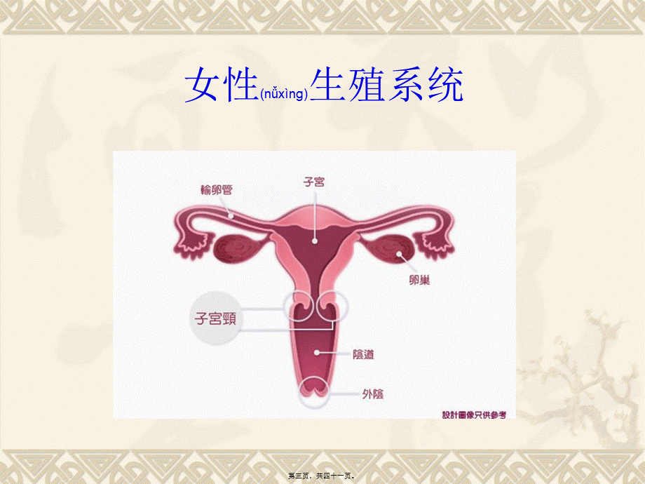 2022年医学专题—宫颈癌科普(1).ppt_第3页