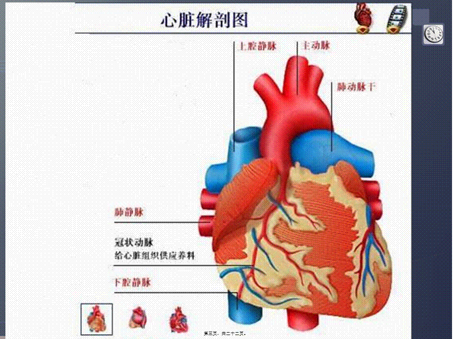 2022年医学专题—冠心病通俗讲解(1).ppt_第3页