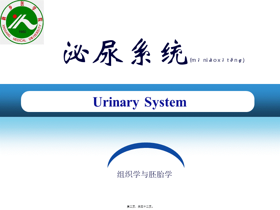 2022年医学专题—第17章-泌尿系统.ppt_第2页