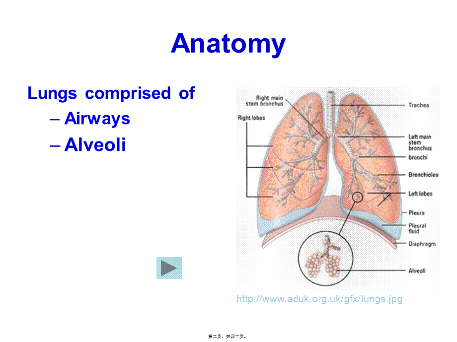 2022年医学专题—肺功能检查Pulmonary-Function-test概要(1).ppt_第2页