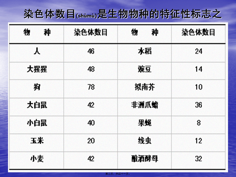 2022年医学专题—染色质与染色体(1).ppt_第2页