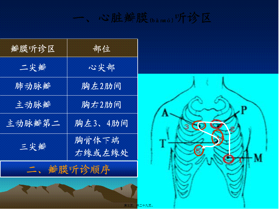 2022年医学专题—心脏检查2—心-脏-听-诊5学时.ppt_第3页