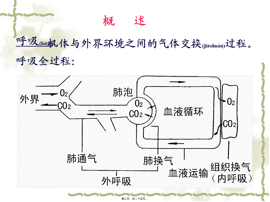 2022年医学专题—第五章-呼吸(1).ppt_第2页