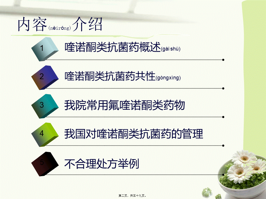 2022年医学专题—喹诺酮类抗菌药2013-4-25(1)(1).ppt_第2页