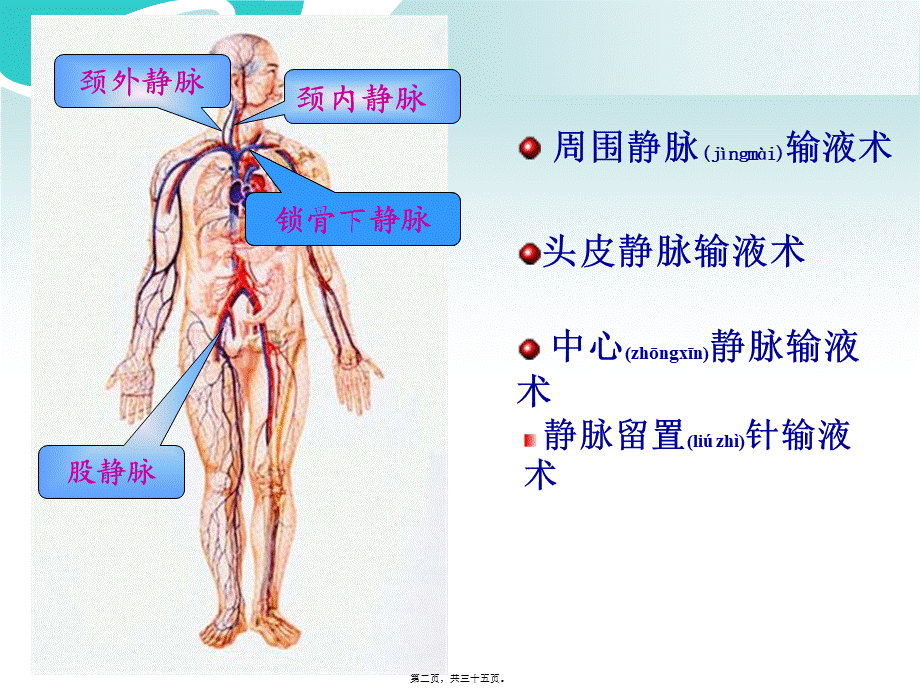 2022年医学专题—深静脉穿刺(1).ppt_第2页