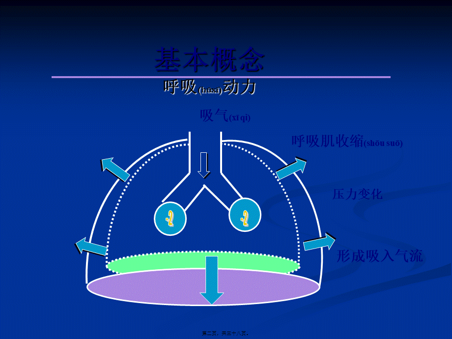 2022年医学专题—如何使用呼吸机.ppt_第2页