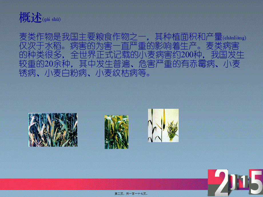 2022年医学专题—小麦病害.ppt_第2页