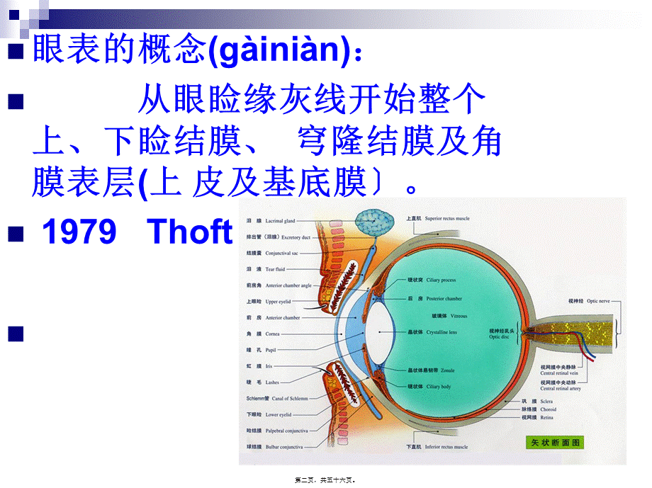 2022年医学专题—5.第五章--眼表病.ppt_第2页