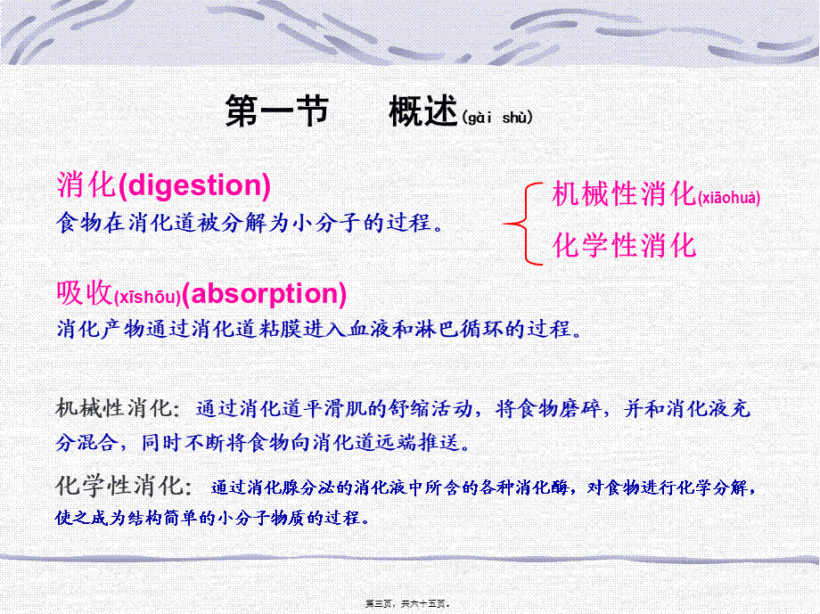 2022年医学专题—戈-消化和吸收.ppt_第3页