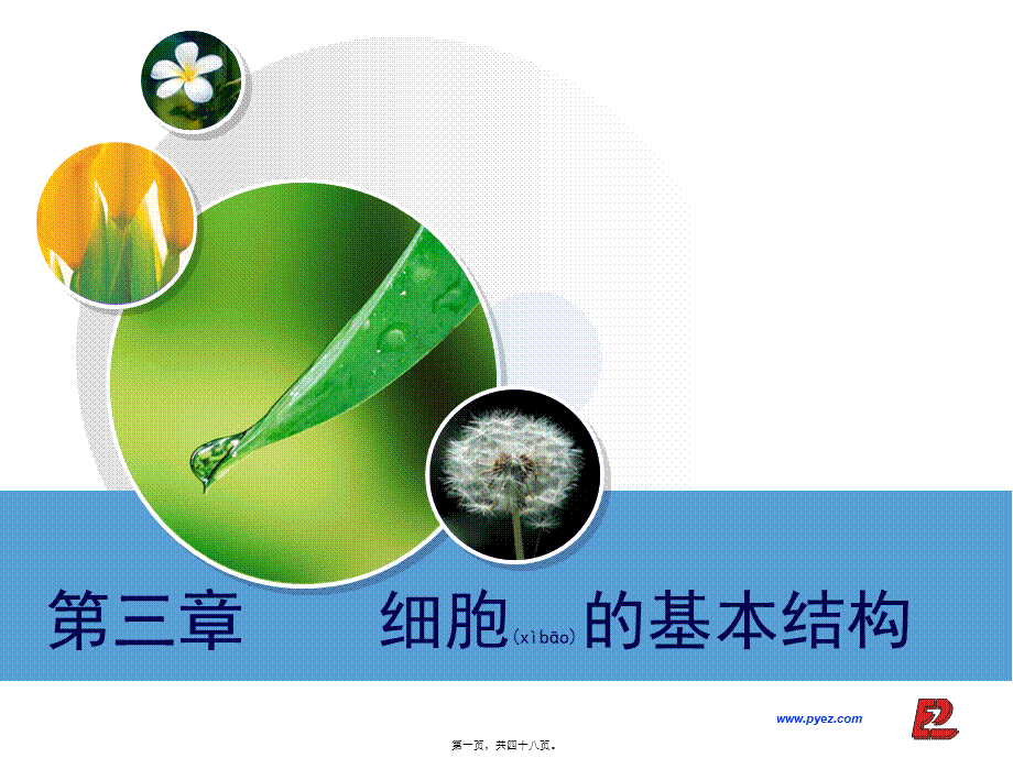 2022年医学专题—细胞膜系统边界.ppt_第1页