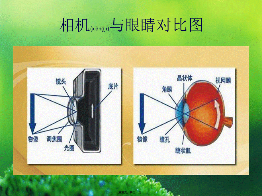 2022年医学专题—年龄相关性白内障.ppt_第3页