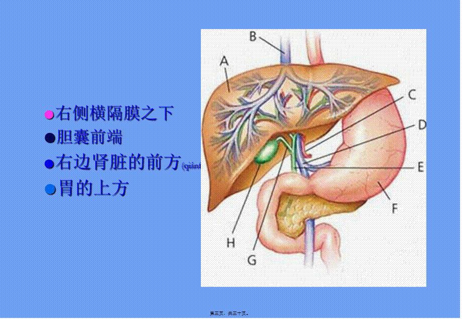 2022年医学专题—慢性乙型肝炎防治知识Ⅰ(1).ppt_第3页