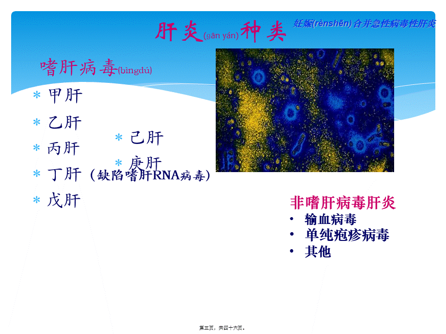 2022年医学专题—人民医院妊娠合并肝病讲稿(1).ppt_第3页