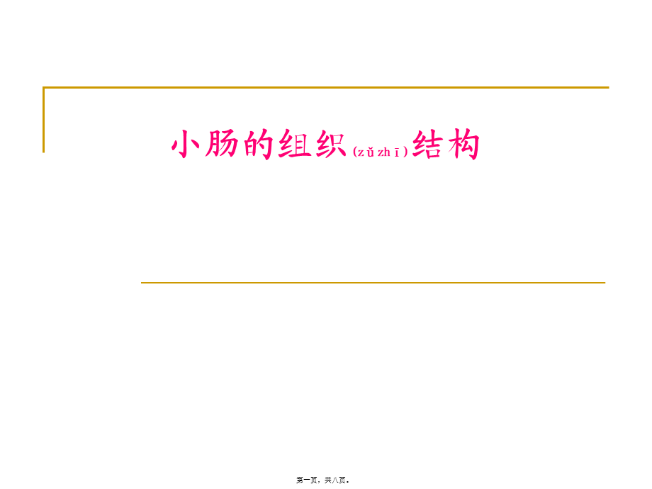 2022年医学专题—小肠的组织结构(1).ppt_第1页