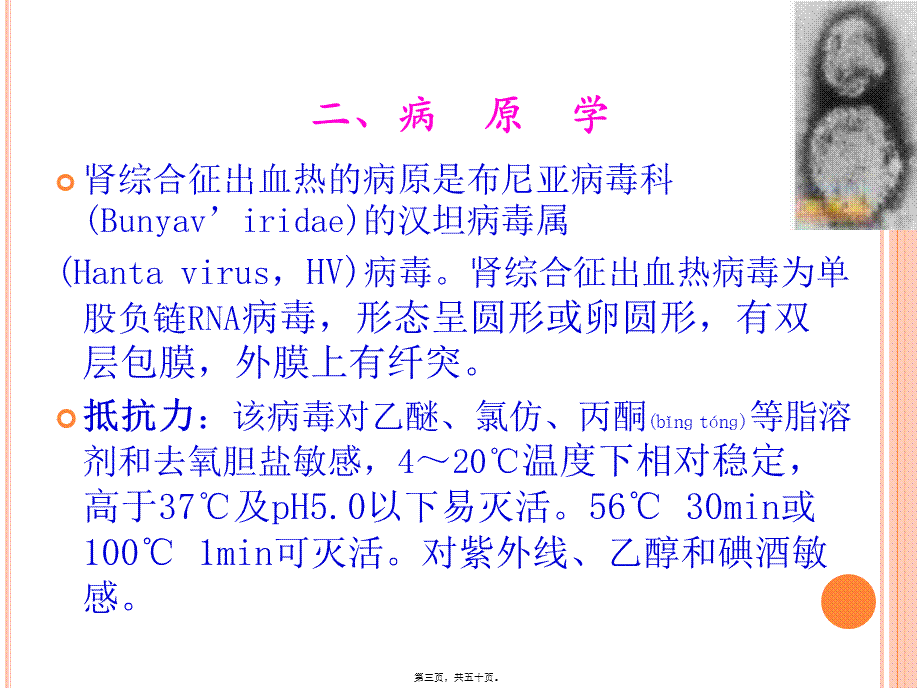 2022年医学专题—流行性出血热诊治(1).ppt_第3页