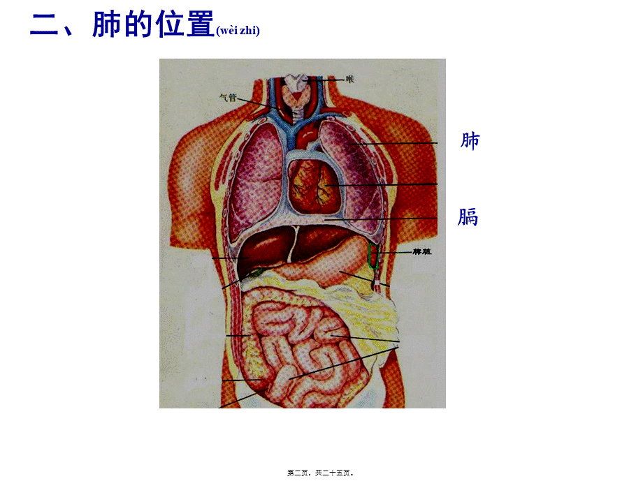 2022年医学专题—发生在肺内的气体交换.ppt(1).ppt_第2页