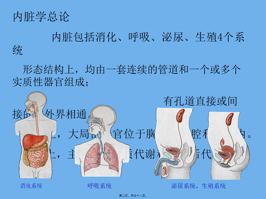 内脏总论、上消化道.pptx_第2页