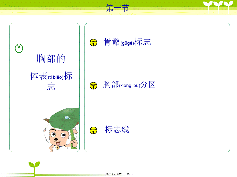 2022年医学专题—肺部评估.ppt_第3页