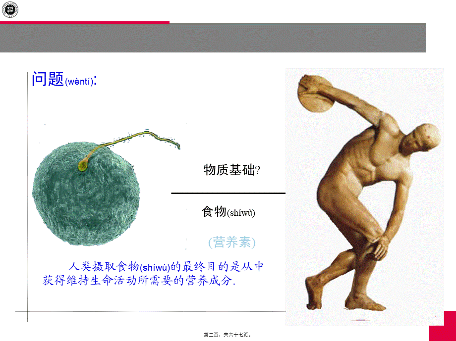 2022年医学专题—上课2(营养学基础)(精).ppt_第2页