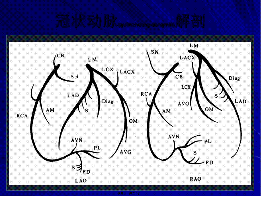 2022年医学专题—冠状动脉造影的正确判读(1).ppt_第3页